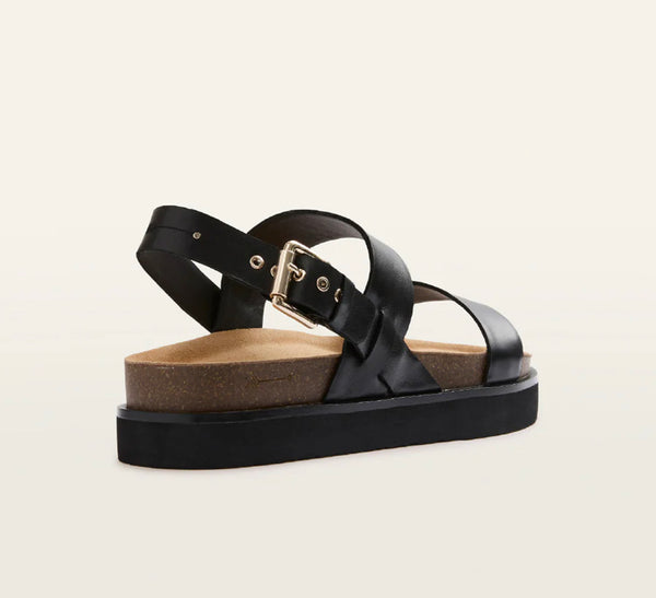 Frankie4 Hunter 2 Colours ~ Camel ~ Black