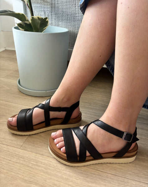 Rilasarre Dawn ~ Black ~ Camel ~ Coconut