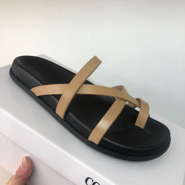 Mollini Haana ~ 3 Colours ~ Chocolate ~ Black ~ Latte