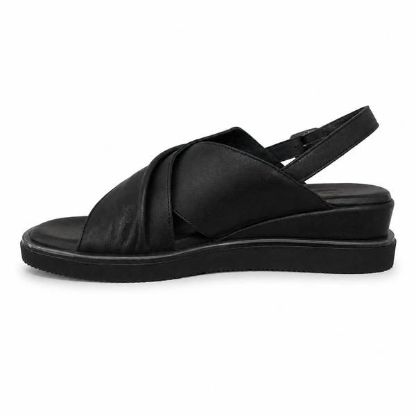 Sala ~ Webster ~ 2 Colours ~ Black ~ Coconut ~ Leather