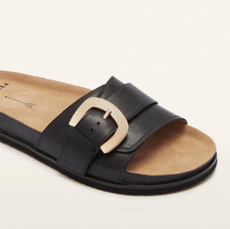 Frankie4 Monterey Black