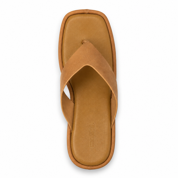 Mollini ~ Coastin ~ 2 Colours ~ Black ~ Tan