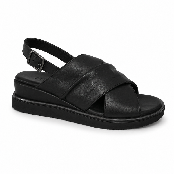 Sala ~ Webster ~ 2 Colours ~ Black ~ Coconut ~ Leather