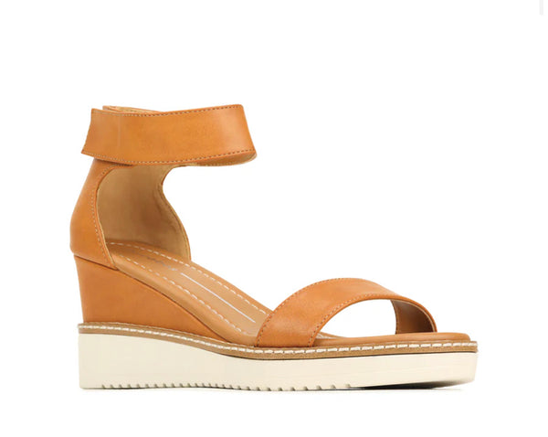 Los Cabos Tweet ~ Black ~ Brandy ~ Vegan