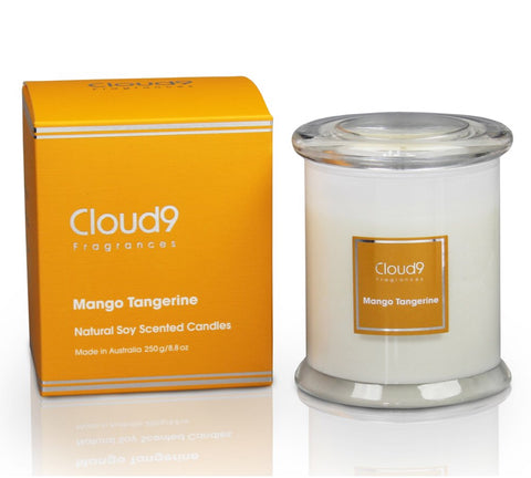 Cloud 9 Fragrances Mango Tangerine Jar Candle 250g